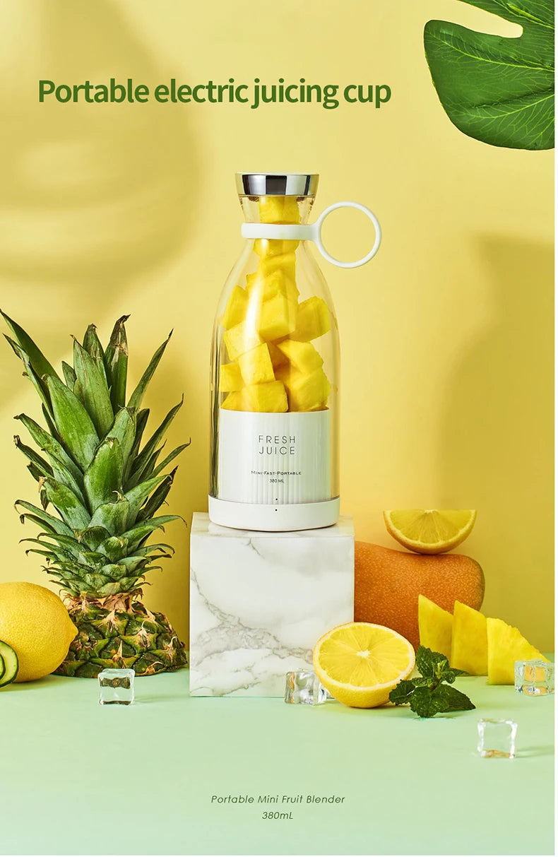 Multifunction Portable USB mini Electric Juicer/milkshake blender